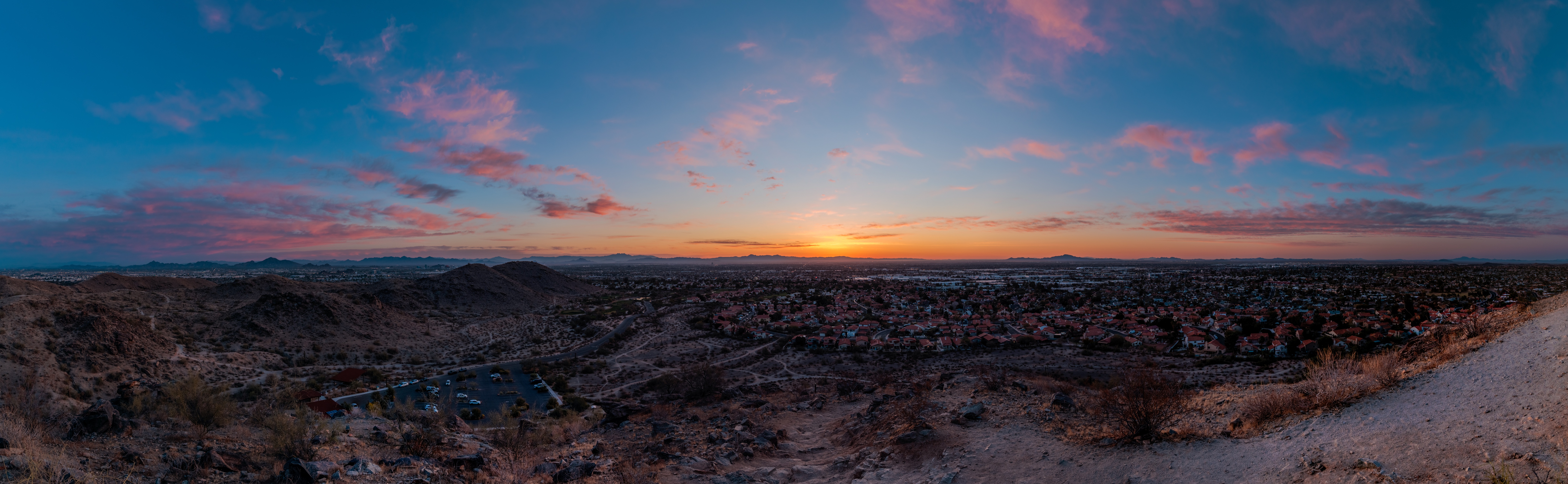 Phoenix Dawn