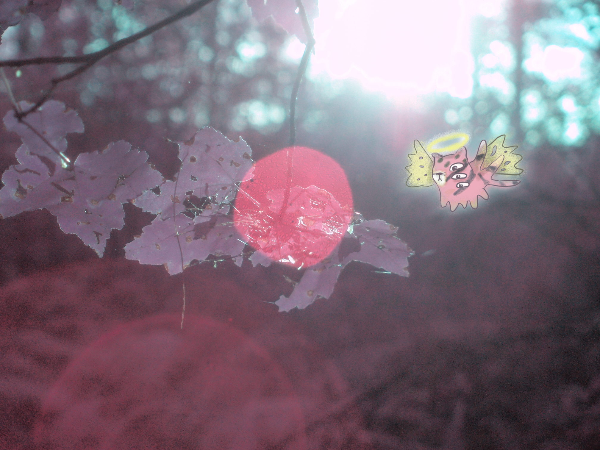 A Little Light - view 2