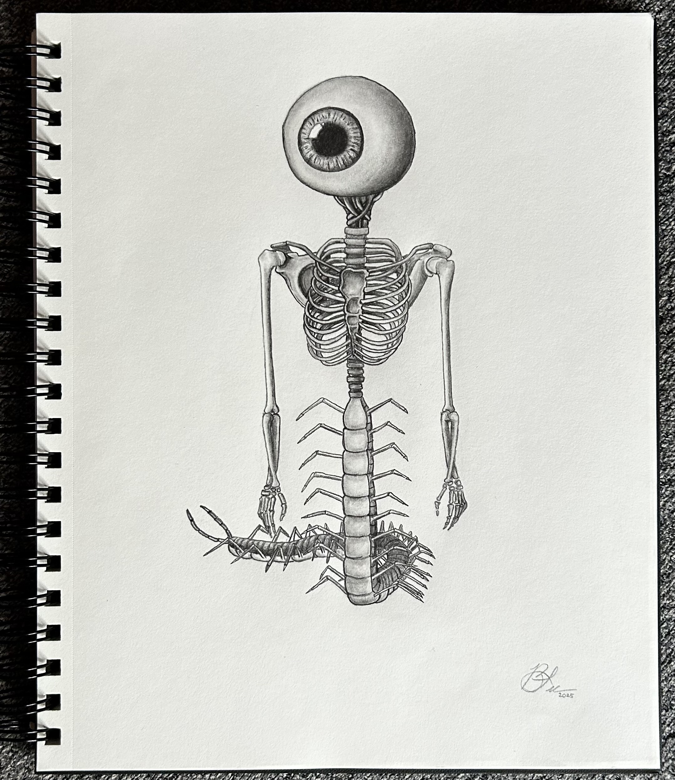 Corpus Oculi