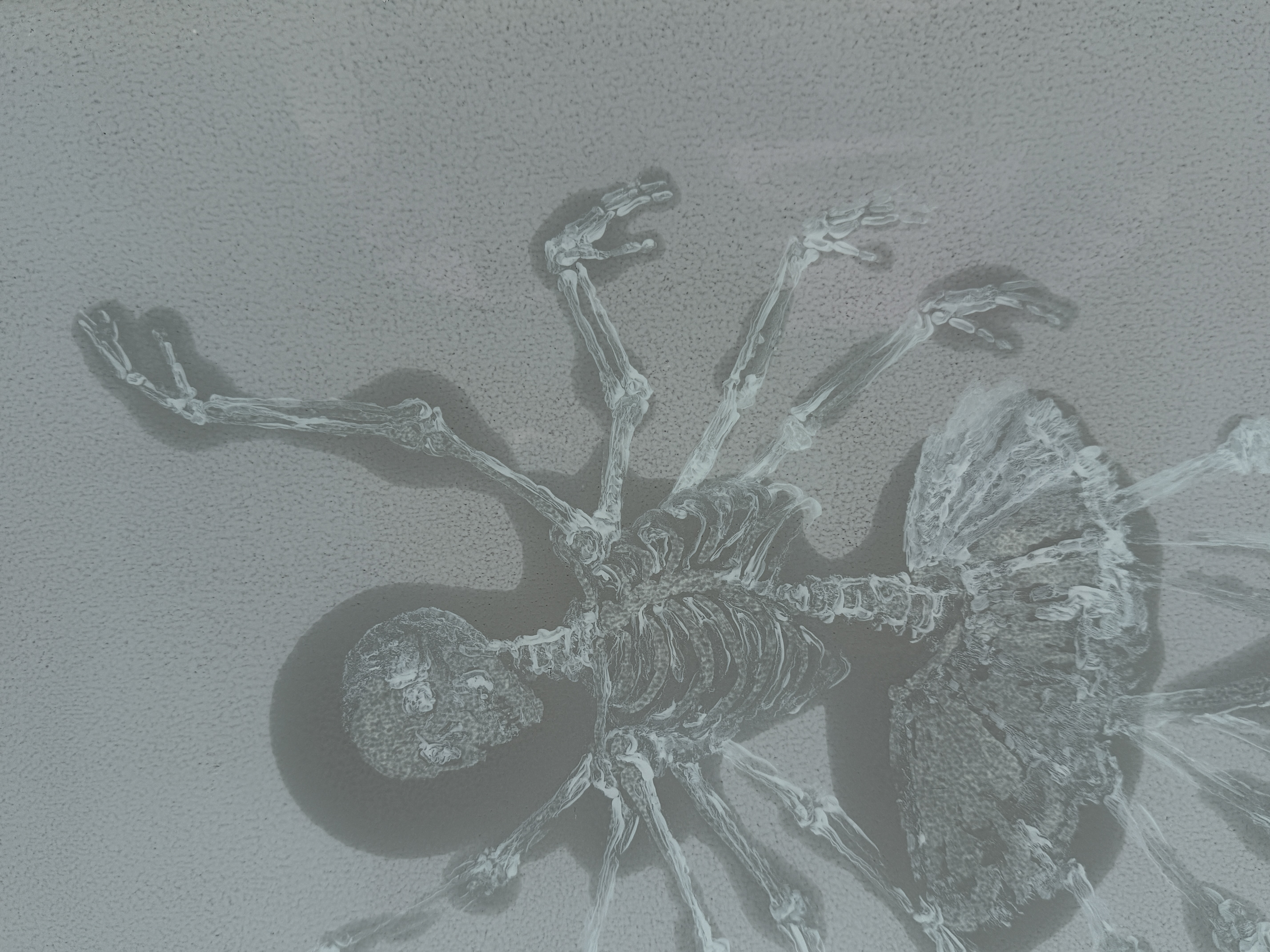 Nature morte, danse N°1 - view 2