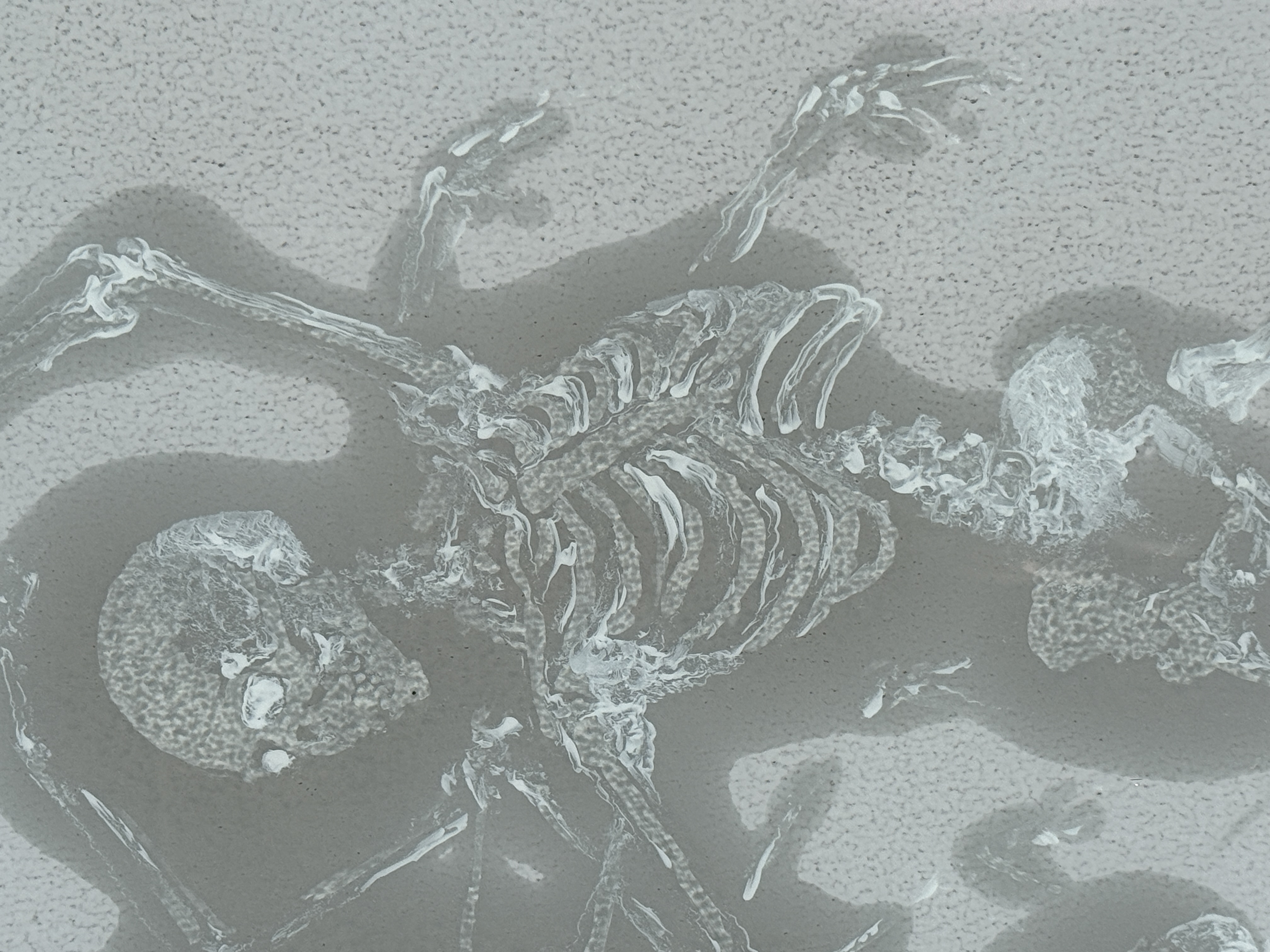 Nature morte, Danse N°2 - view 2
