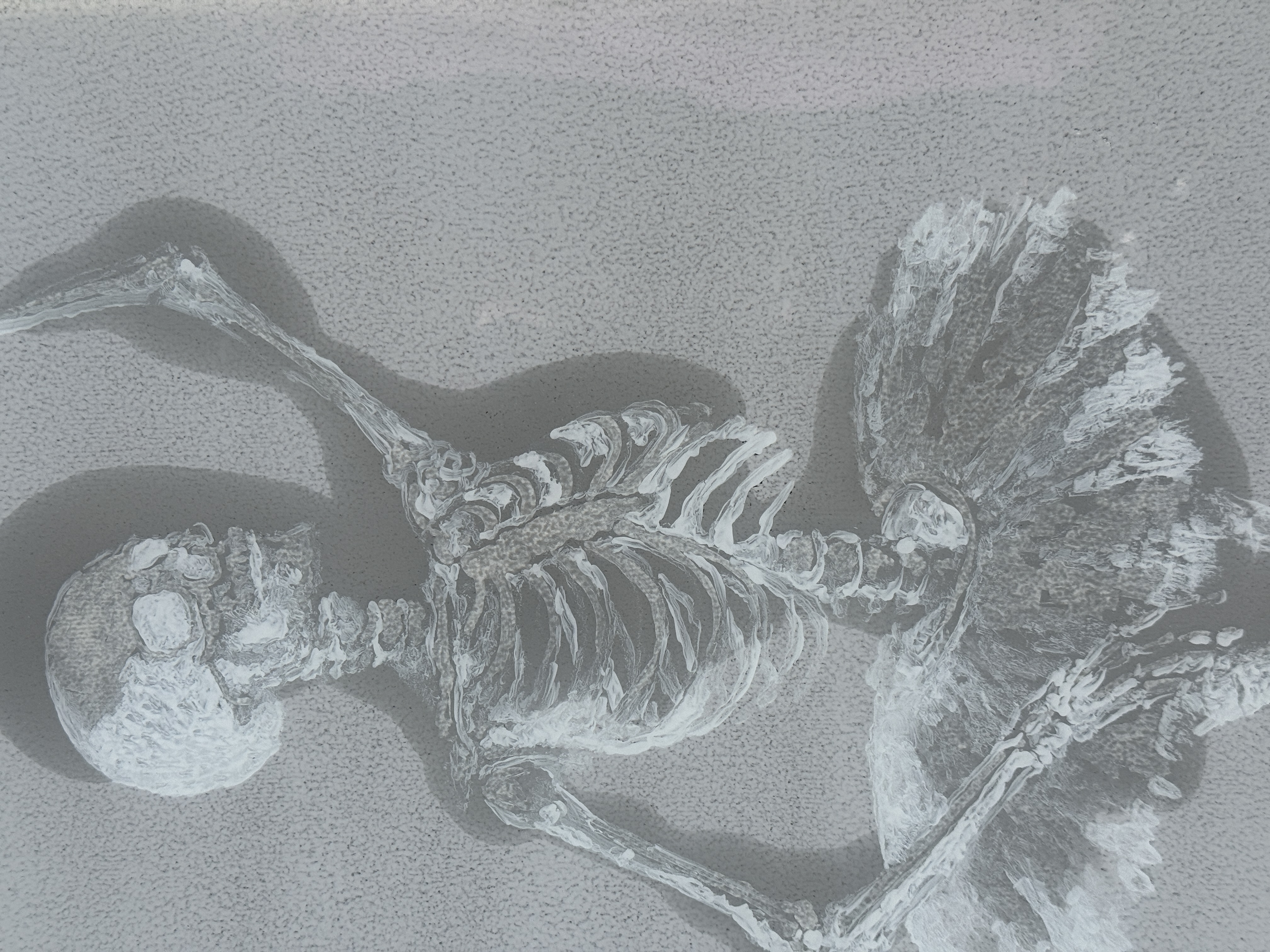 Nature morte, danse N°3 - view 2