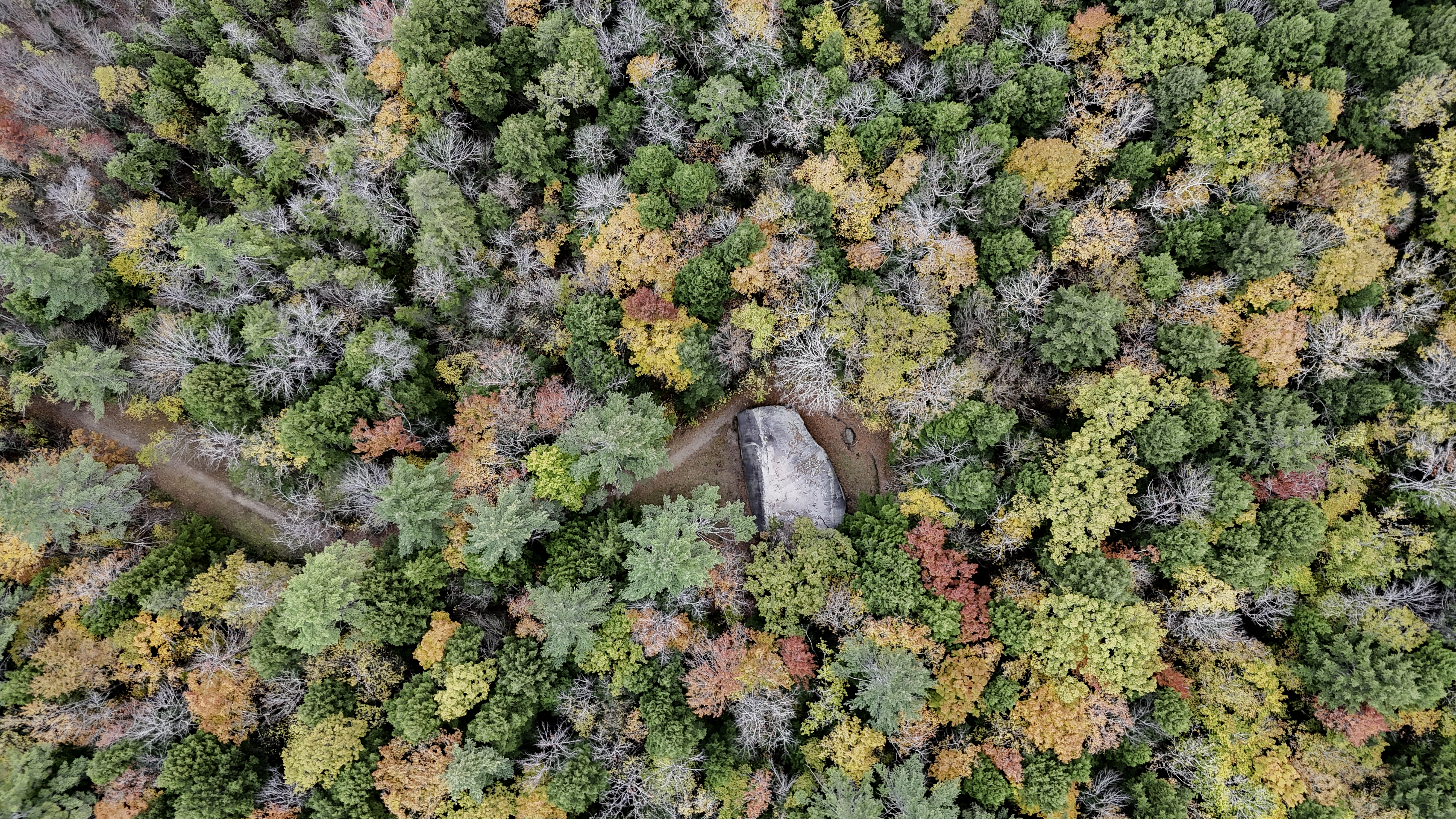 Madison Boulder in Autumn
