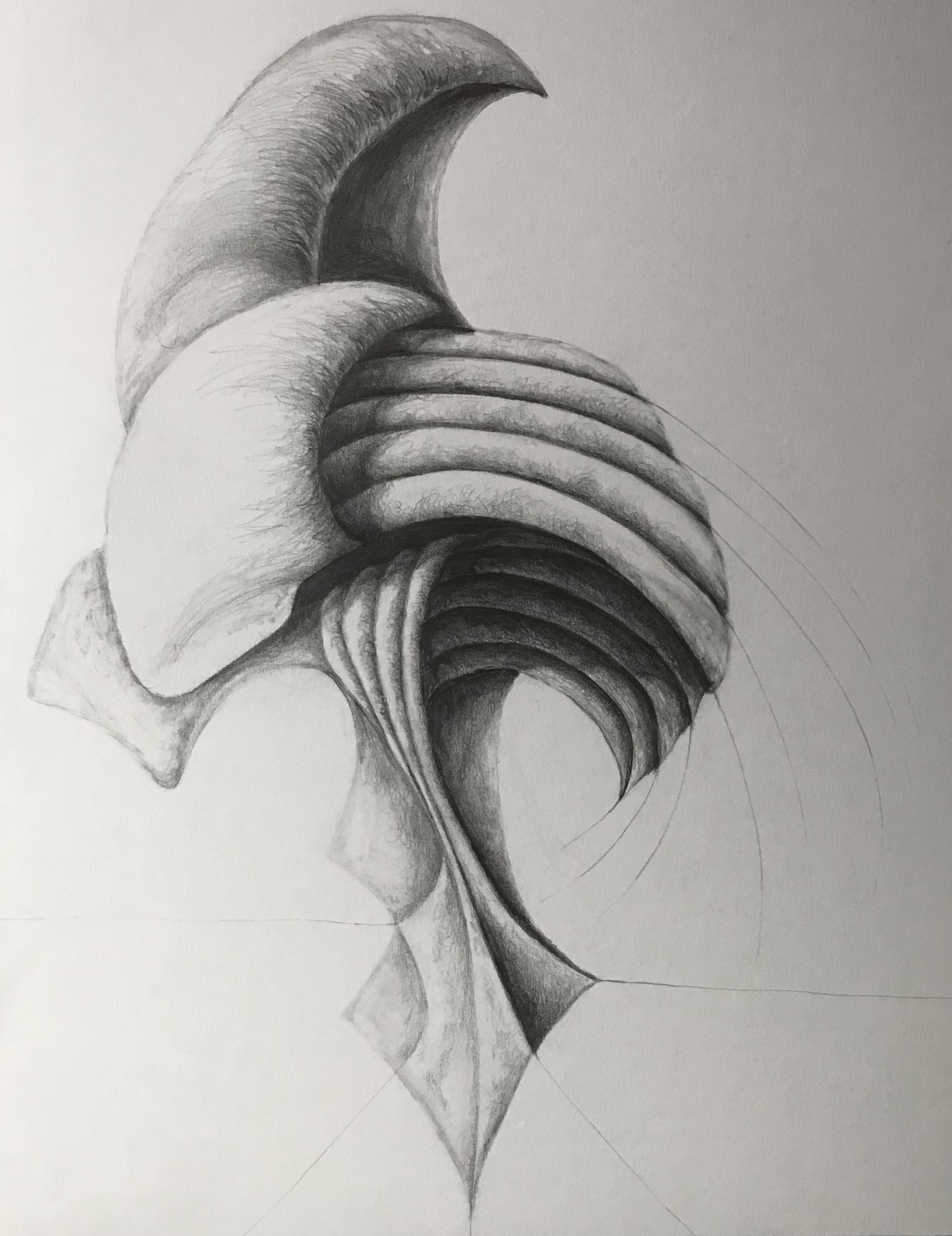 Shaded Forms 9